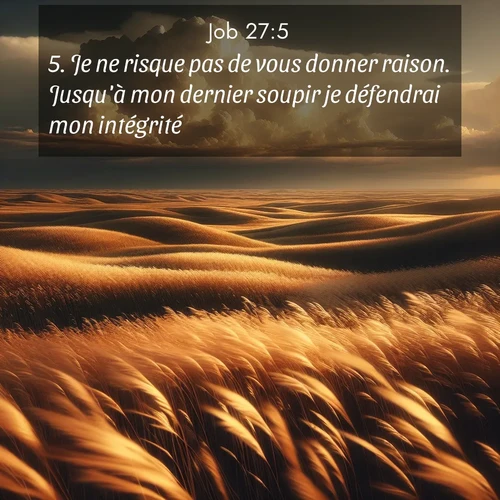 Segond21 Job  ; image nature: image avec le verset biblique :Je ne risque pas de vous donner raison. Jusqu&#039;à mon dernier soupir je défendrai mon intégrité. ;  ; 27:5