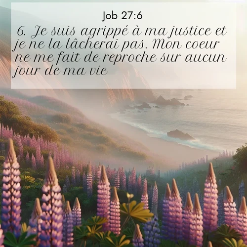 Segond21 Job  ; image nature: image avec le verset biblique :Je suis agrippé à ma justice et je ne la lâcherai pas. Mon coeur ne me fait de reproche sur aucun jour de ma vie. ;  ; 27:6