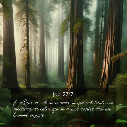 Segond21 Job  ; image nature: image avec le verset biblique :»Que ce soit mon ennemi qui soit traité en méchant, et celui qui se dresse contre moi en homme injuste! ;  ; 27:7