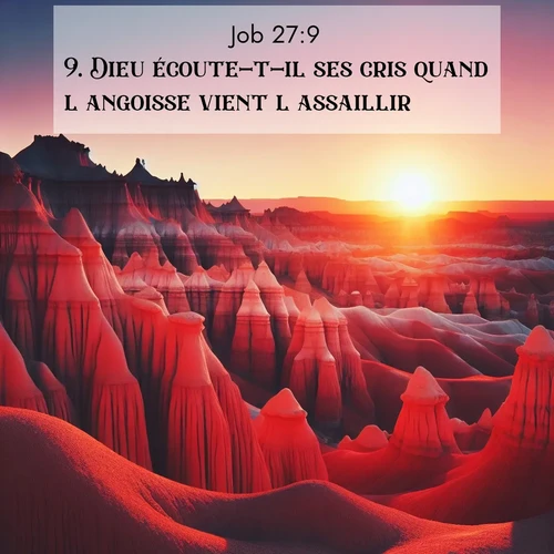 Segond21 Job  ; image nature: image avec le verset biblique :Dieu écoute-t-il ses cris quand l&#039;angoisse vient l&#039;assaillir? ;  ; 27:9