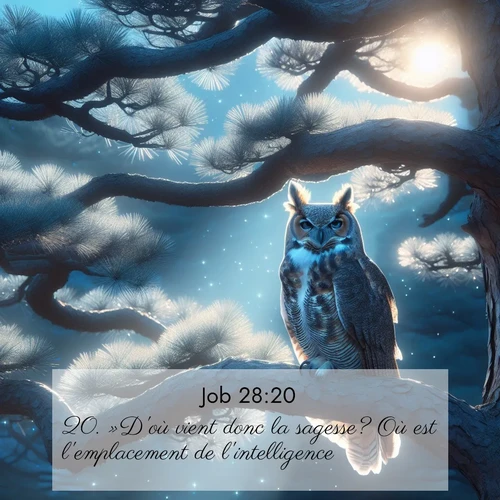 Segond21 Job  ; image nature: image avec le verset biblique :»D&#039;où vient donc la sagesse? Où est l&#039;emplacement de l&#039;intelligence? ;  ; 28:20