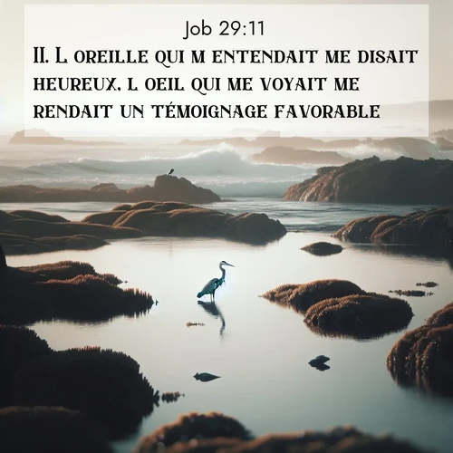 Segond21 Job  ; image nature: image avec le verset biblique :L&#039;oreille qui m&#039;entendait me disait heureux, l&#039;oeil qui me voyait me rendait un témoignage favorable. ;  ; 29:11