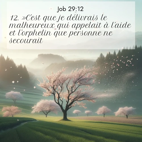 Segond21 Job  ; image nature: image avec le verset biblique :»C&#039;est que je délivrais le malheureux qui appelait à l&#039;aide et l&#039;orphelin que personne ne secourait. ;  ; 29:12