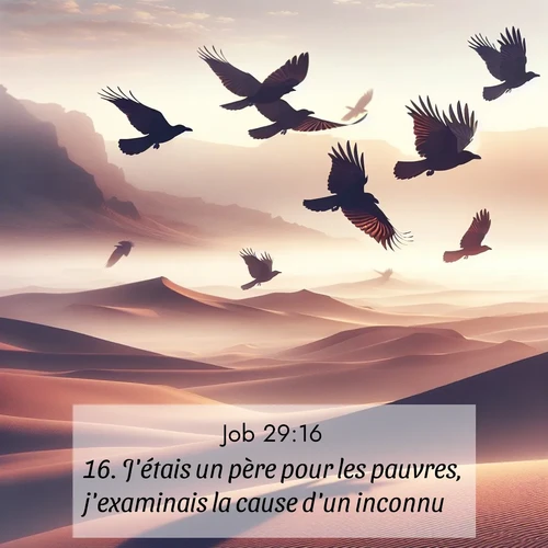 Segond21 Job  ; image nature: image avec le verset biblique :J&#039;étais un père pour les pauvres, j&#039;examinais la cause d&#039;un inconnu. ;  ; 29:16