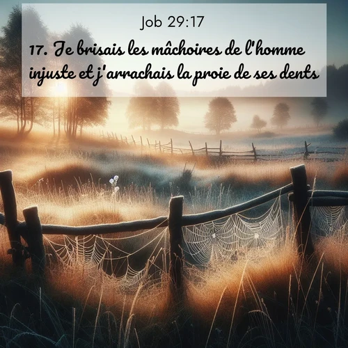 Segond21 Job  ; image nature: image avec le verset biblique :Je brisais les mâchoires de l&#039;homme injuste et j&#039;arrachais la proie de ses dents. ;  ; 29:17