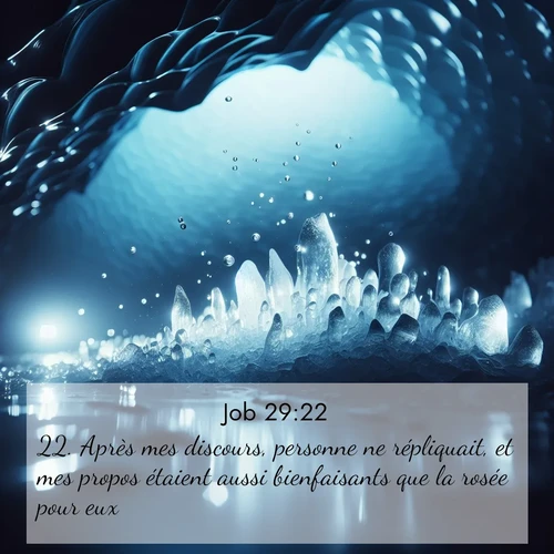 Segond21 Job  ; image nature: image avec le verset biblique :Après mes discours, personne ne répliquait, et mes propos étaient aussi bienfaisants que la rosée pour eux. ;  ; 29:22