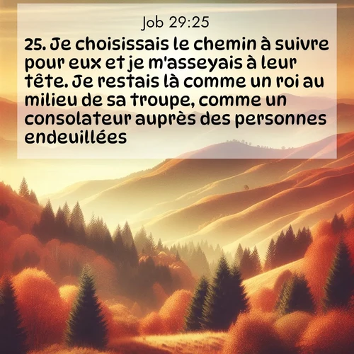 Segond21 Job  ; image nature: image avec le verset biblique :Je choisissais le chemin à suivre pour eux et je m&#039;asseyais à leur tête. Je restais là comme un roi au milieu de sa troupe, comme un consolateur auprès des personnes endeuillées. ;  ; 29:25
