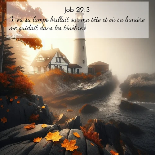 Segond21 Job  ; image nature: image avec le verset biblique :où sa lampe brillait sur ma tête et où sa lumière me guidait dans les ténèbres! ;  ; 29:3