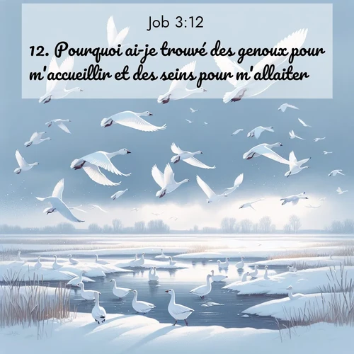image nature avec verset biblique de la Bible