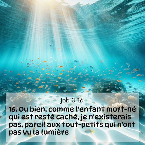 image nature avec verset biblique de la Bible