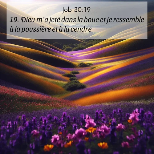 Segond21 Job  ; image nature: image avec le verset biblique :Dieu m&#039;a jeté dans la boue et je ressemble à la poussière et à la cendre. ;  ; 30:19