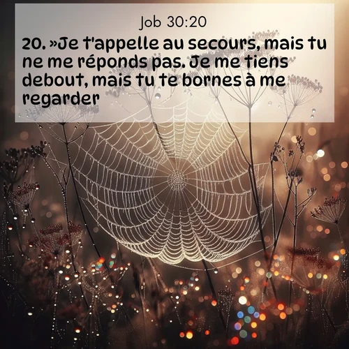 image nature avec verset biblique de la Bible