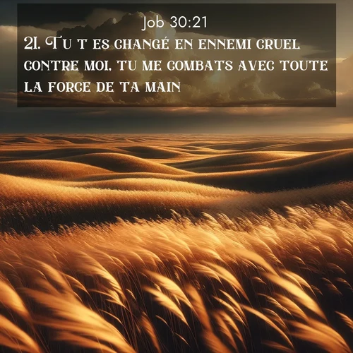 image nature avec verset biblique de la Bible