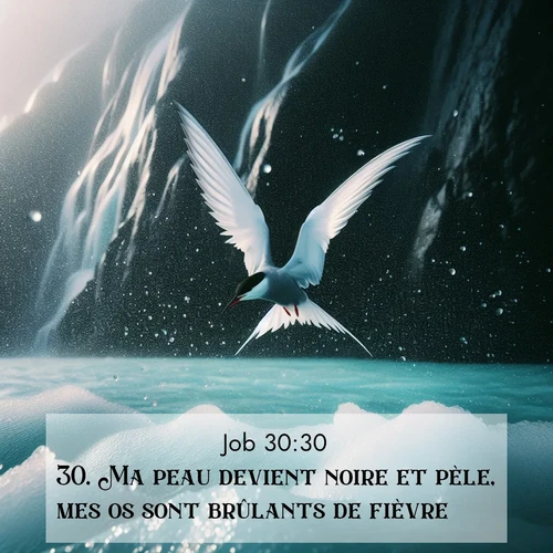 image nature avec verset biblique de la Bible
