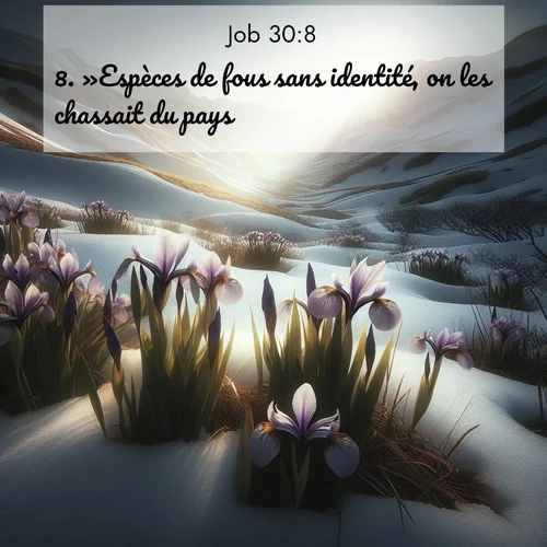 image nature avec verset biblique de la Bible