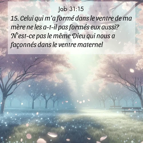 Segond21 Job  ; image nature: image avec le verset biblique :Celui qui m&#039;a formé dans le ventre de ma mère ne les a-t-il pas formés eux aussi? N&#039;est-ce pas le même Dieu qui nous a façonnés dans le ventre maternel? ;  ; 31:15