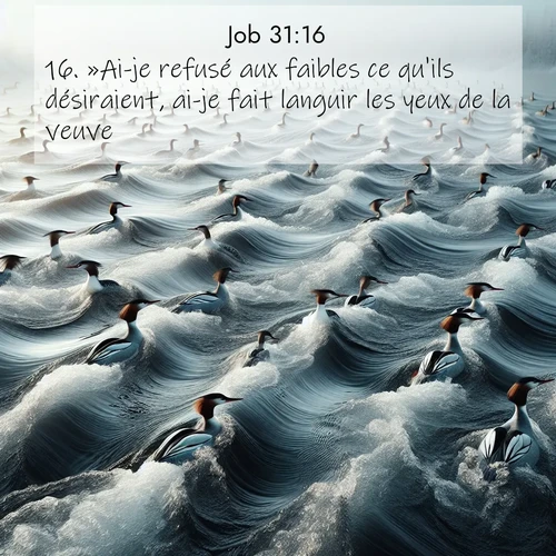 Segond21 Job  ; image nature: image avec le verset biblique :»Ai-je refusé aux faibles ce qu&#039;ils désiraient, ai-je fait languir les yeux de la veuve, ;  ; 31:16