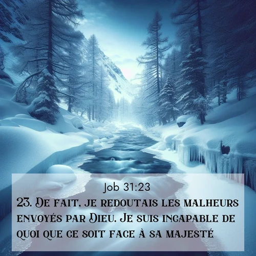 Segond21 Job  ; image nature: image avec le verset biblique :De fait, je redoutais les malheurs envoyés par Dieu. Je suis incapable de quoi que ce soit face à sa majesté. ;  ; 31:23