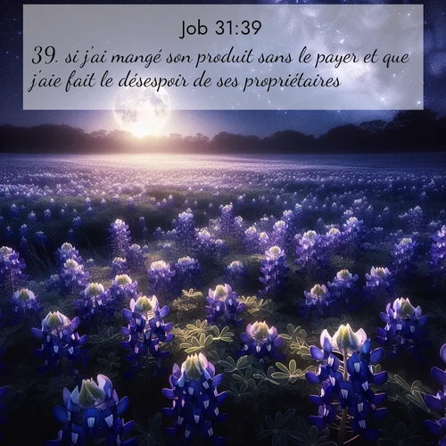 Segond21 Job  ; image nature: image avec le verset biblique :si j&#039;ai mangé son produit sans le payer et que j&#039;aie fait le désespoir de ses propriétaires, ;  ; 31:39