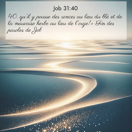 Segond21 Job  ; image nature: image avec le verset biblique :qu&#039;il y pousse des ronces au lieu du blé et de la mauvaise herbe au lieu de l&#039;orge!» Fin</p><p>Lire le verset dans son contexte : <br><a href=