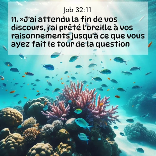 Segond21 Job  ; image nature: image avec le verset biblique :»J&#039;ai attendu la fin de vos discours, j&#039;ai prêté l&#039;oreille à vos raisonnements jusqu&#039;à ce que vous ayez fait le tour de la question. ;  ; 32:11