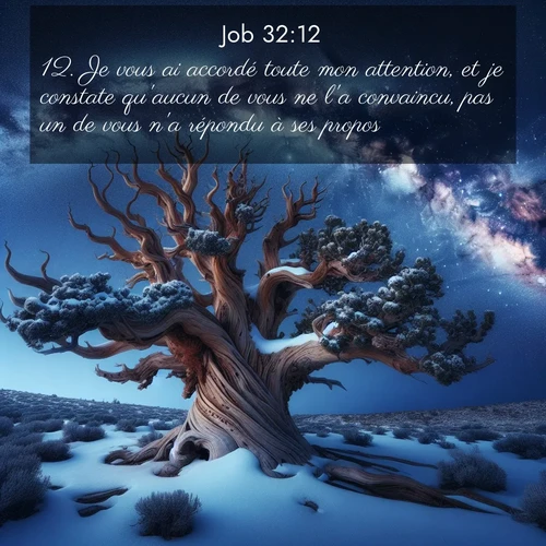 Segond21 Job  ; image nature: image avec le verset biblique :Je vous ai accordé toute mon attention, et je constate qu&#039;aucun de vous ne l&#039;a convaincu, pas un de vous n&#039;a répondu à ses propos. ;  ; 32:12