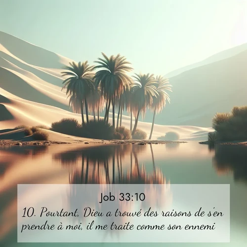Segond21 Job  ; image nature: image avec le verset biblique :Pourtant, Dieu a trouvé des raisons de s&#039;en prendre à moi, il me traite comme son ennemi: ;  ; 33:10