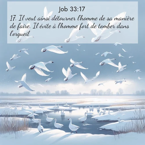 Segond21 Job  ; image nature: image avec le verset biblique :Il veut ainsi détourner l&#039;homme de sa manière de faire. Il évite à l&#039;homme fort de tomber dans l&#039;orgueil, ;  ; 33:17