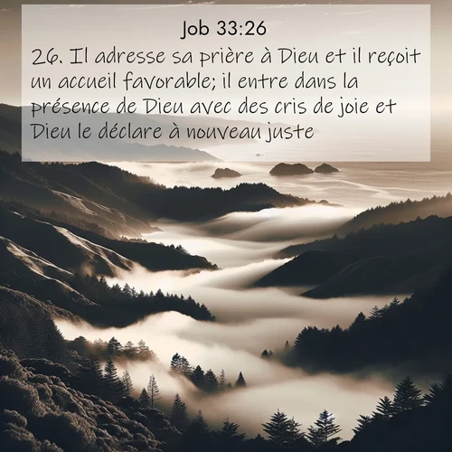 Segond21 Job  ; image nature: image avec le verset biblique :Il adresse sa prière à Dieu et il reçoit un accueil favorable; il entre dans la présence de Dieu avec des cris de joie et Dieu le déclare à nouveau juste. ;  ; 33:26