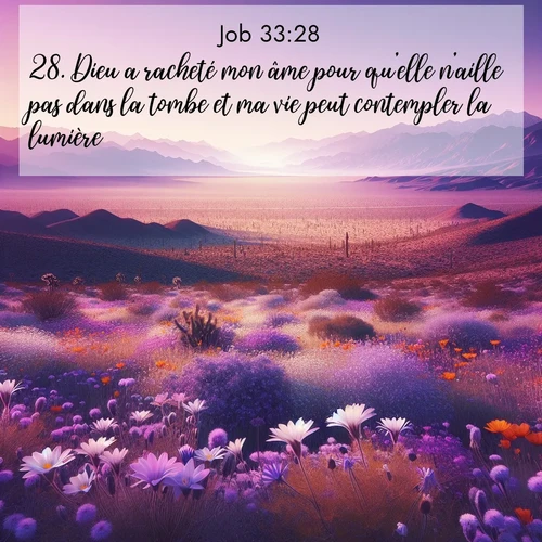 Segond21 Job  ; image nature: image avec le verset biblique :Dieu a racheté mon âme pour qu&#039;elle n&#039;aille pas dans la tombe et ma vie peut contempler la lumière!&#039; ;  ; 33:28