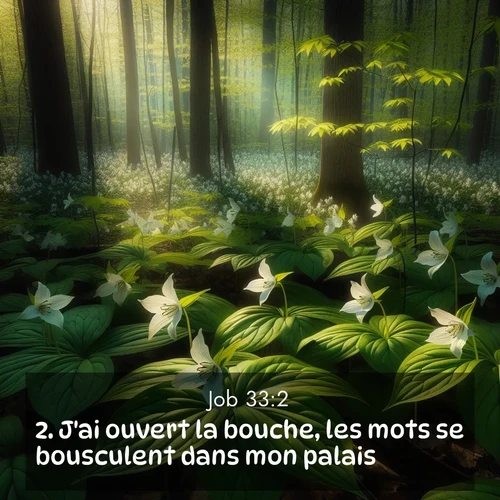 Segond21 Job  ; image nature: image avec le verset biblique :J&#039;ai ouvert la bouche, les mots se bousculent dans mon palais. ;  ; 33:2