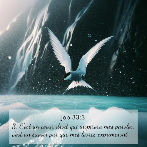 Segond21 Job  ; image nature: image avec le verset biblique :C&#039;est un coeur droit qui inspirera mes paroles, c&#039;est un savoir pur que mes lèvres exprimeront: ;  ; 33:3