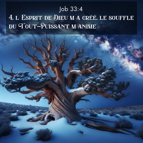 Segond21 Job  ; image nature: image avec le verset biblique :l&#039;Esprit de Dieu m&#039;a créé, le souffle du Tout-Puissant m&#039;anime. ;  ; 33:4