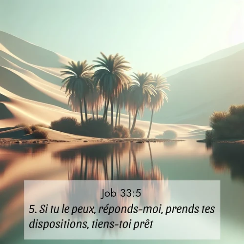 Segond21 Job  ; image nature: image avec le verset biblique :Si tu le peux, réponds-moi, prends tes dispositions, tiens-toi prêt! ;  ; 33:5