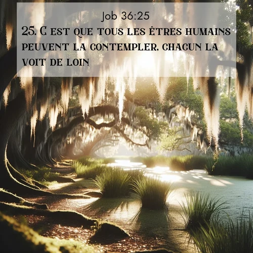 Segond21 Job  ; image nature: image avec le verset biblique :C&#039;est que tous les êtres humains peuvent la contempler, chacun la voit de loin. ;  ; 36:25