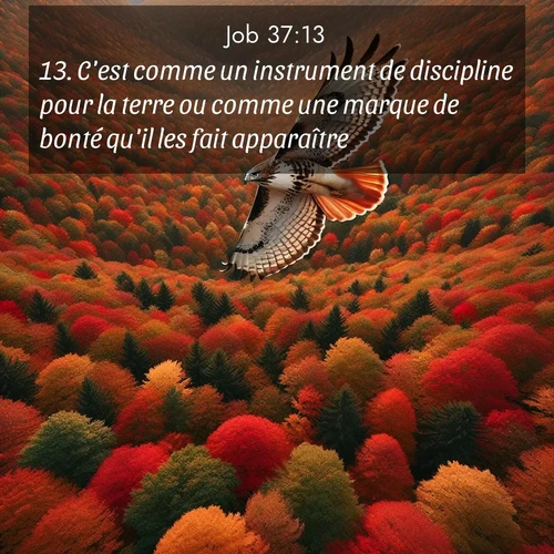Segond21 Job  ; image nature: image avec le verset biblique :C&#039;est comme un instrument de discipline pour la terre ou comme une marque de bonté qu&#039;il les fait apparaître. ;  ; 37:13