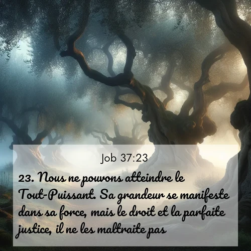 Segond21 Job  ; image nature: image avec le verset biblique :Nous ne pouvons atteindre le Tout-Puissant. Sa grandeur se manifeste dans sa force, mais le droit et la parfaite justice, il ne les maltraite pas. ;  ; 37:23