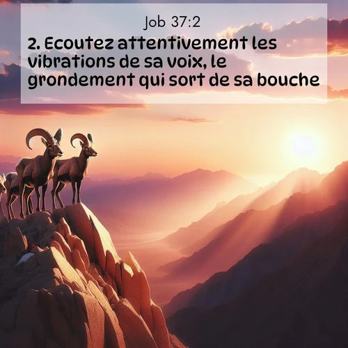 Segond21 Job  ; image nature: image avec le verset biblique :Ecoutez attentivement les vibrations de sa voix, le grondement qui sort de sa bouche! ;  ; 37:2