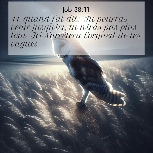 Segond21 Job  ; image nature: image avec le verset biblique :quand j&#039;ai dit: &#039;Tu pourras venir jusqu&#039;ici, tu n&#039;iras pas plus loin. Ici s&#039;arrêtera l&#039;orgueil de tes vagues&#039;? ;  ; 38:11