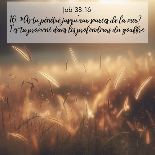 Segond21 Job  ; image nature: image avec le verset biblique :»As-tu pénétré jusqu&#039;aux sources de la mer? T&#039;es-tu promené dans les profondeurs du gouffre? ;  ; 38:16
