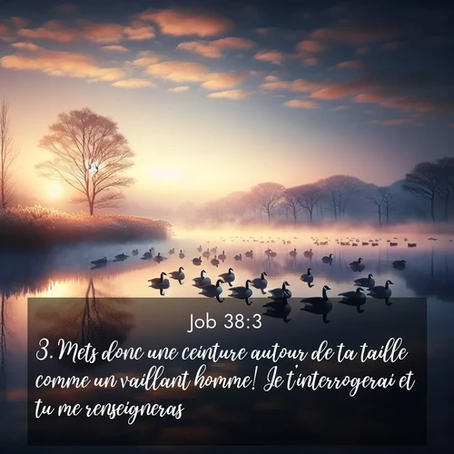 Segond21 Job  ; image nature: image avec le verset biblique :Mets donc une ceinture autour de ta taille comme un vaillant homme! Je t&#039;interrogerai et tu me renseigneras. ;  ; 38:3