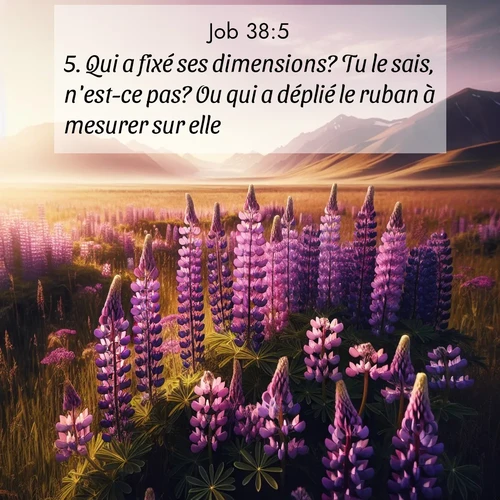 Segond21 Job  ; image nature: image avec le verset biblique :Qui a fixé ses dimensions? Tu le sais, n&#039;est-ce pas? Ou qui a déplié le ruban à mesurer sur elle? ;  ; 38:5