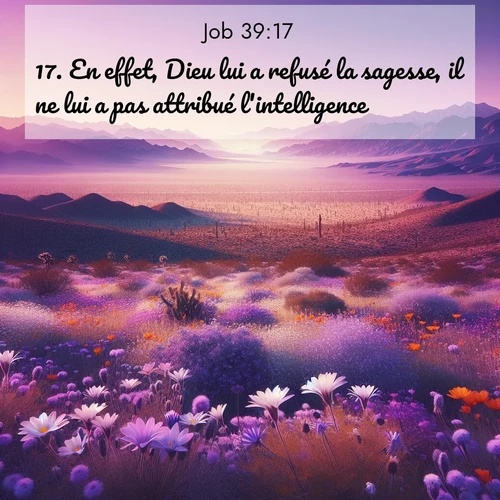 Segond21 Job  ; image nature: image avec le verset biblique :En effet, Dieu lui a refusé la sagesse, il ne lui a pas attribué l&#039;intelligence. ;  ; 39:17