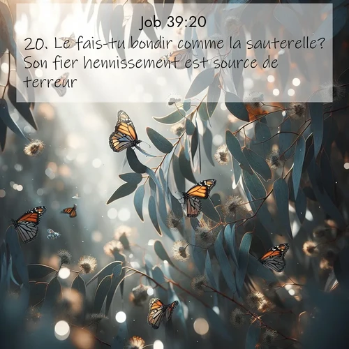 Segond21 Job  ; image nature: image avec le verset biblique :Le fais-tu bondir comme la sauterelle? Son fier hennissement est source de terreur. ;  ; 39:20