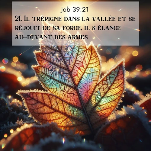 Segond21 Job  ; image nature: image avec le verset biblique :Il trépigne dans la vallée et se réjouit de sa force, il s&#039;élance au-devant des armes. ;  ; 39:21