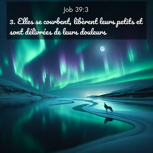 Segond21 Job  ; image nature: image avec le verset biblique :Elles se courbent, libèrent leurs petits et sont délivrées de leurs douleurs. ;  ; 39:3
