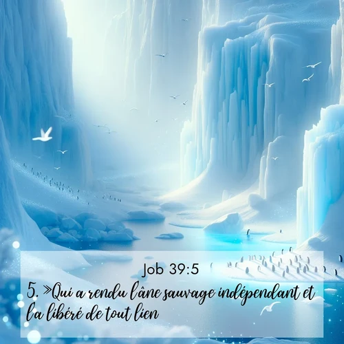 Segond21 Job  ; image nature: image avec le verset biblique :»Qui a rendu l&#039;âne sauvage indépendant et l&#039;a libéré de tout lien? ;  ; 39:5