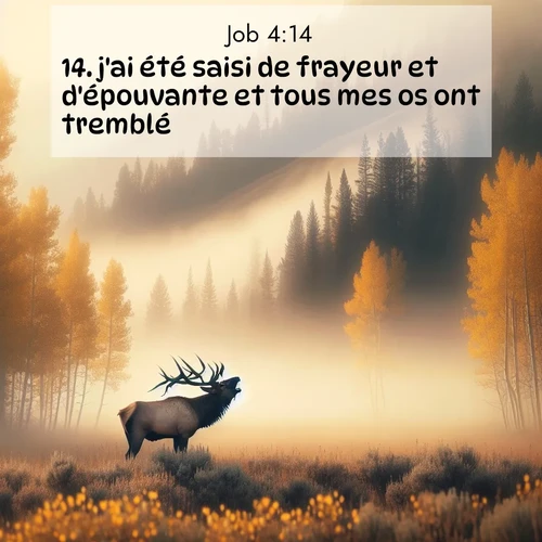Segond21 Job  ; image nature: image avec le verset biblique :j&#039;ai été saisi de frayeur et d&#039;épouvante et tous mes os ont tremblé. ;  ; 4:14
