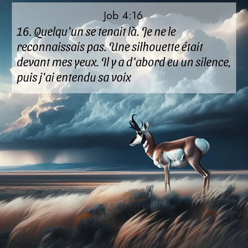 Segond21 Job  ; image nature: image avec le verset biblique :Quelqu&#039;un se tenait là. Je ne le reconnaissais pas. Une silhouette était devant mes yeux. Il y a d&#039;abord eu un silence, puis j&#039;ai entendu sa voix: ;  ; 4:16