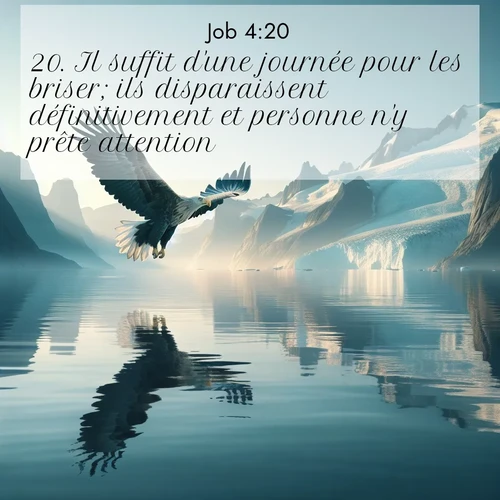 Segond21 Job  ; image nature: image avec le verset biblique :Il suffit d&#039;une journée pour les briser; ils disparaissent définitivement et personne n&#039;y prête attention. ;  ; 4:20
